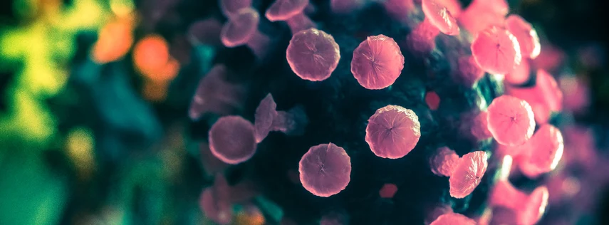 Visualisierung eines Virus.